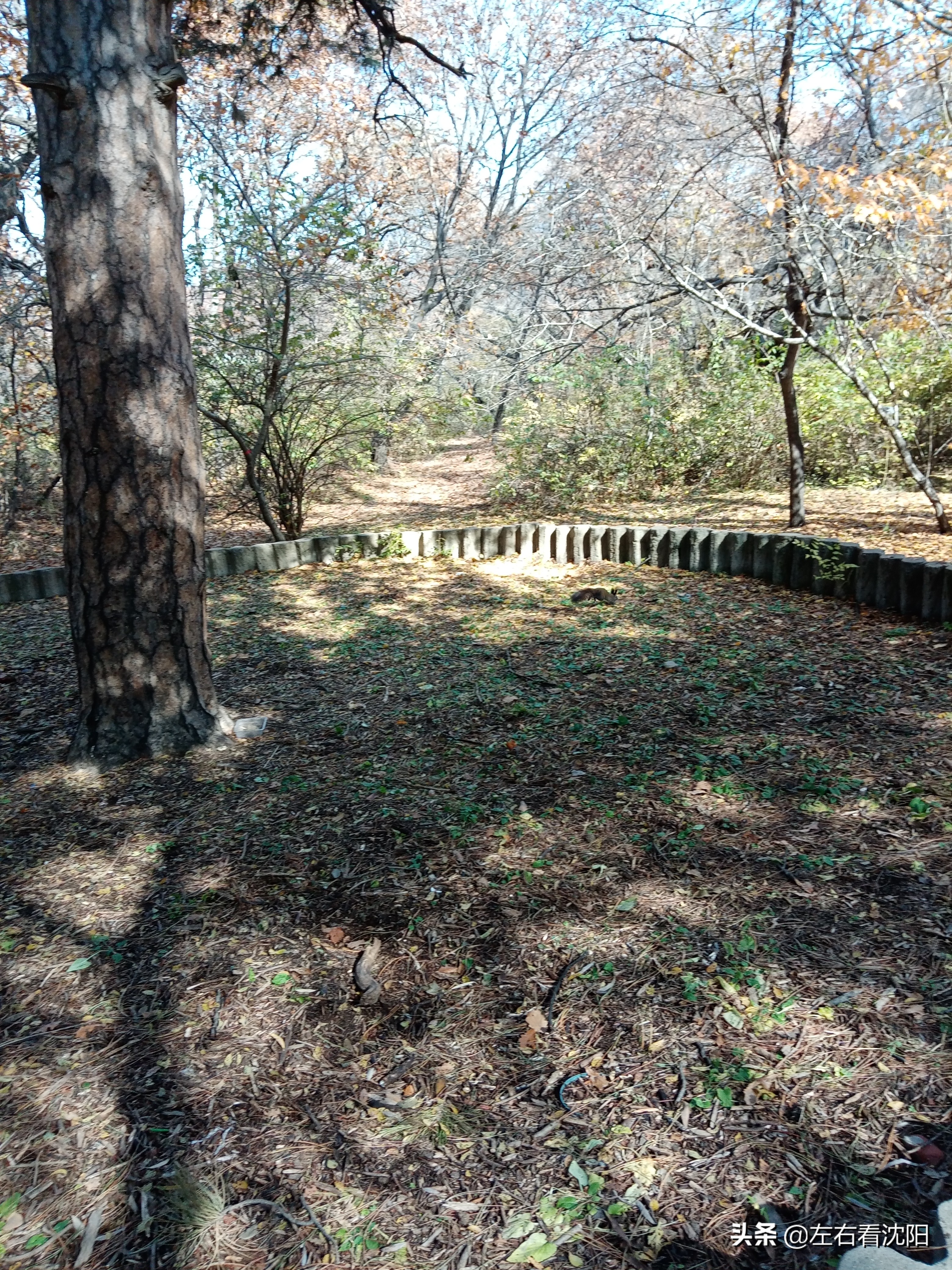 秋季沈阳北陵公园有啥好玩的,漫步沈阳北陵公园湖水边