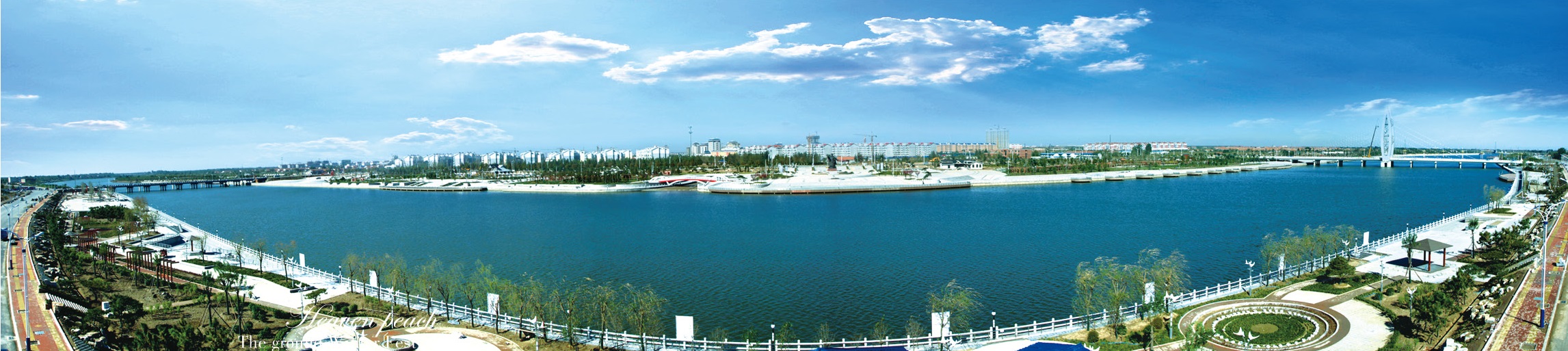 中国冬枣之乡沾化下洼,沾化冬枣之乡最新消息