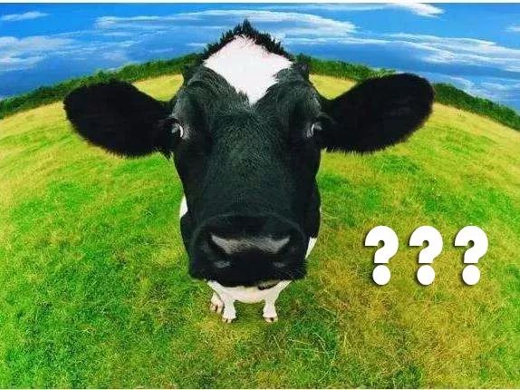 24小时鲜奶优惠购好奶送到家,鲜活好奶送到家