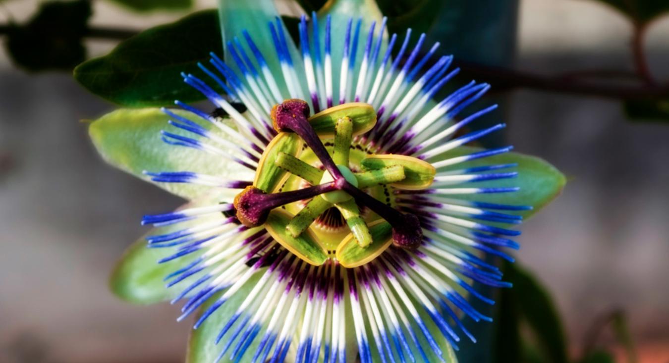 长期熬夜提高免疫力吃什么保健品,男人经常熬夜吃什么保健品比较好