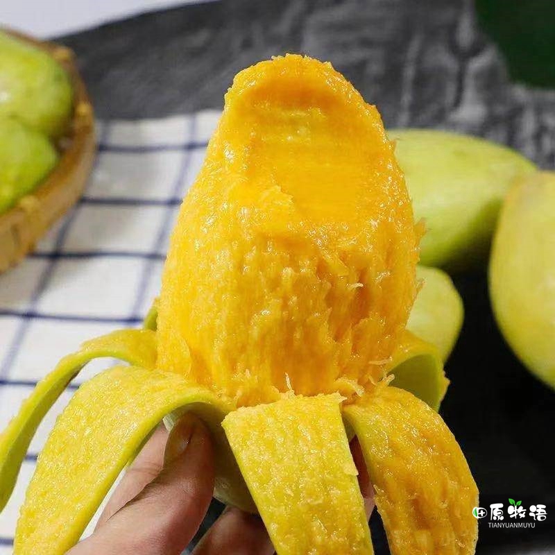 越南大青芒果批发价,越南大青芒果直播卖货第一名