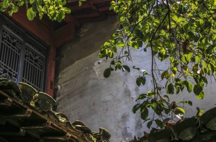 诗中有画的意境,诗中有画的作品