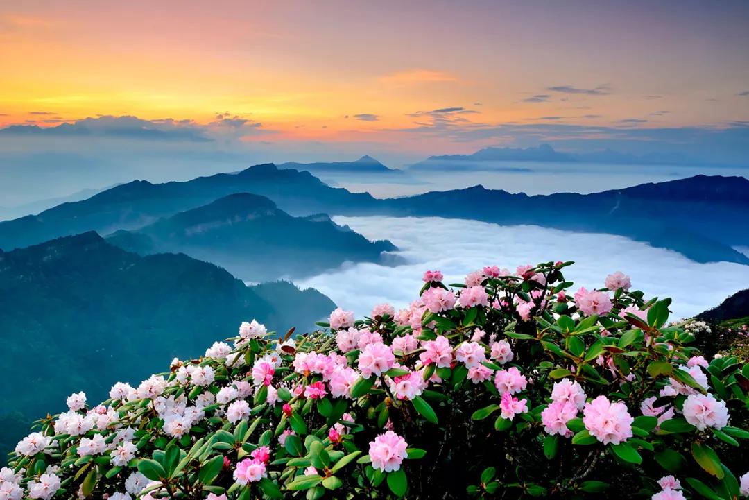 一副千年对联两句人生智慧,一年四季十个字对联