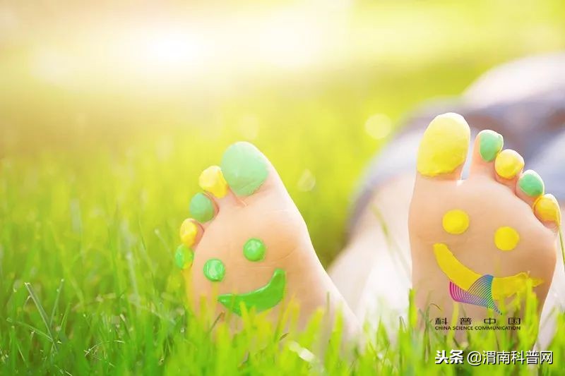 真菌是怎么感染动物的,真菌是怎么感染虫子的