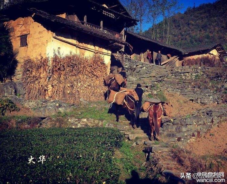 湖南慈利县三合镇牧羊冲茶马古道罕见的古旧茶具探秘