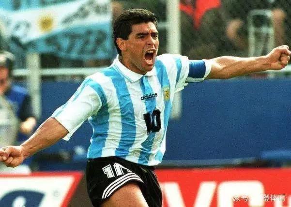 卡尼吉亚出现在美洲杯,卡尼吉亚1991年美洲杯