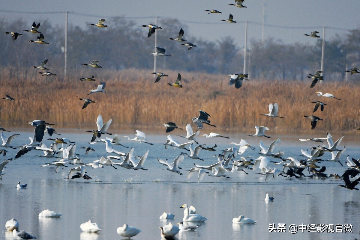 宁夏出发三四天旅游适合去哪里,宁夏从南到北5天旅游攻略