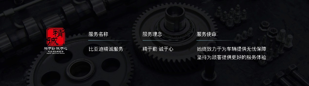 全新秦燃油版落地价,秦ev新车落地价格2020
