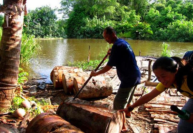 西米露和西米是一种东西吗,西米露的西米从哪里来的