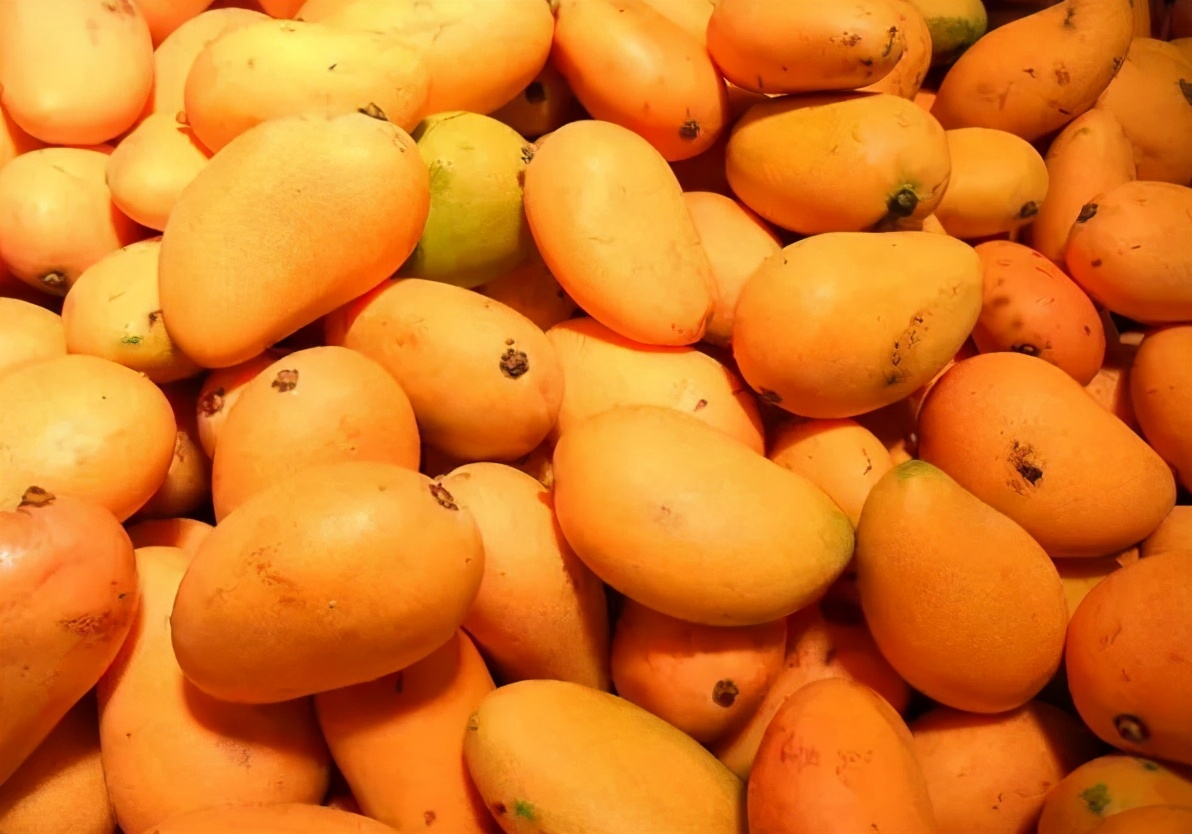 买芒果最忌讳什么,买芒果口诀