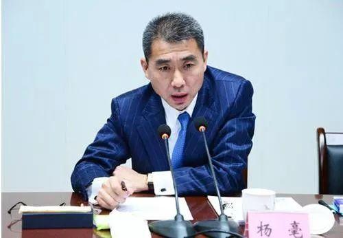 杨毫创业史,成都置信集团杨毫年龄