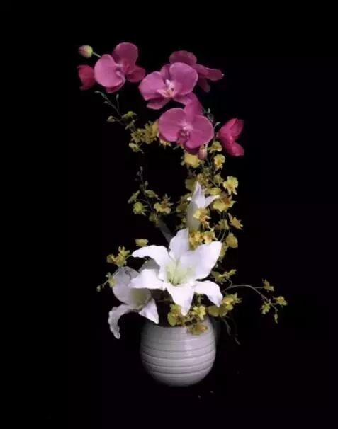 世界十大漂亮名贵花卉,植物研究世界名贵花卉