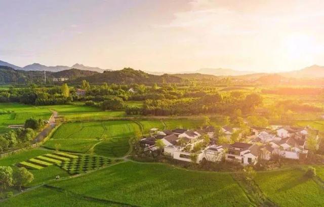 宋卫平诸暨,宋卫平鸡汤