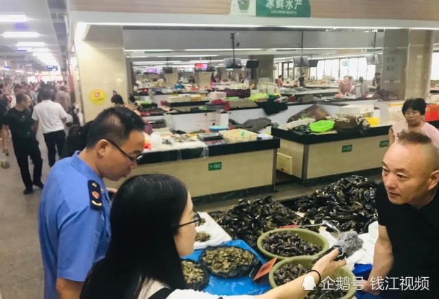 死掉的贻贝能吃吗,只有一边壳的贻贝能吃吗