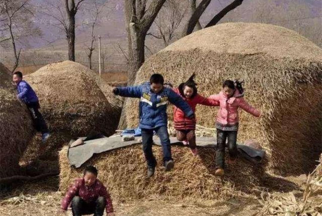 狗婆蛇是落水狗吗,狗婆蛇为啥不常见了