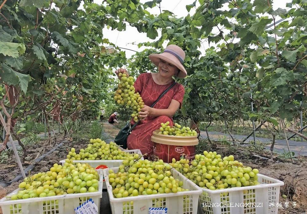 我的旅居生活90多天,我的旅居海南生活系列