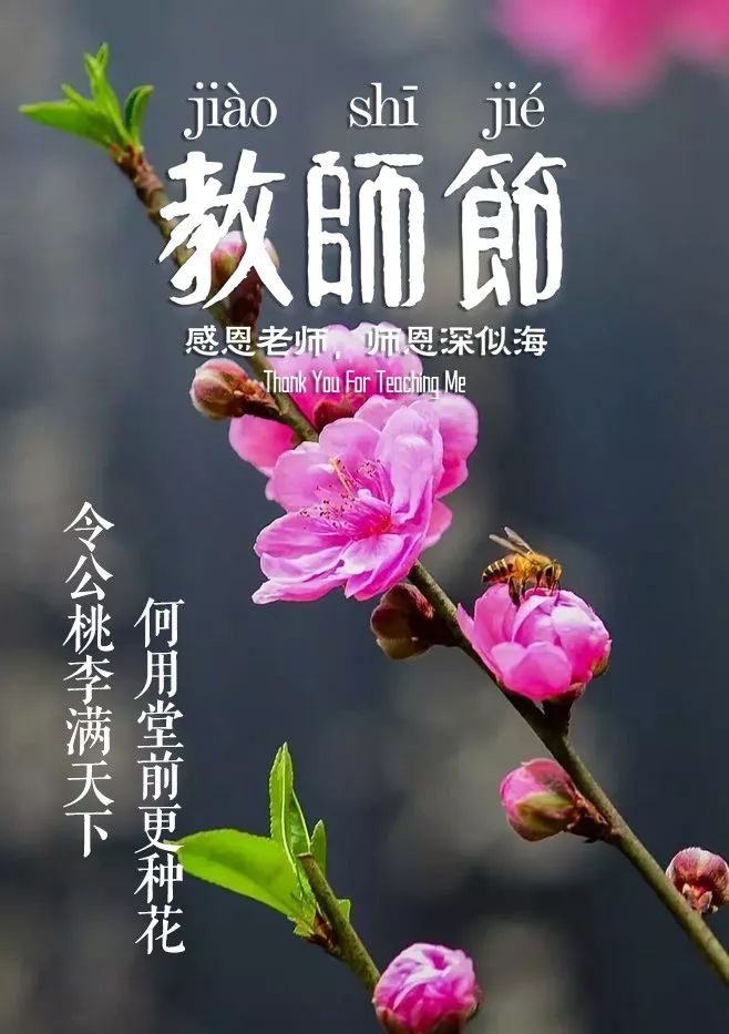教师节描写老师的古诗句子,赞美老师的诗句古诗和名言