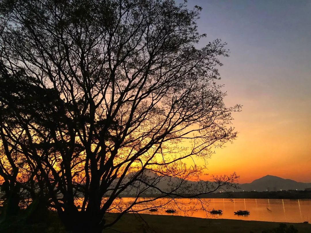 肇庆砚洲岛热气球,鼎湖砚洲岛热气球