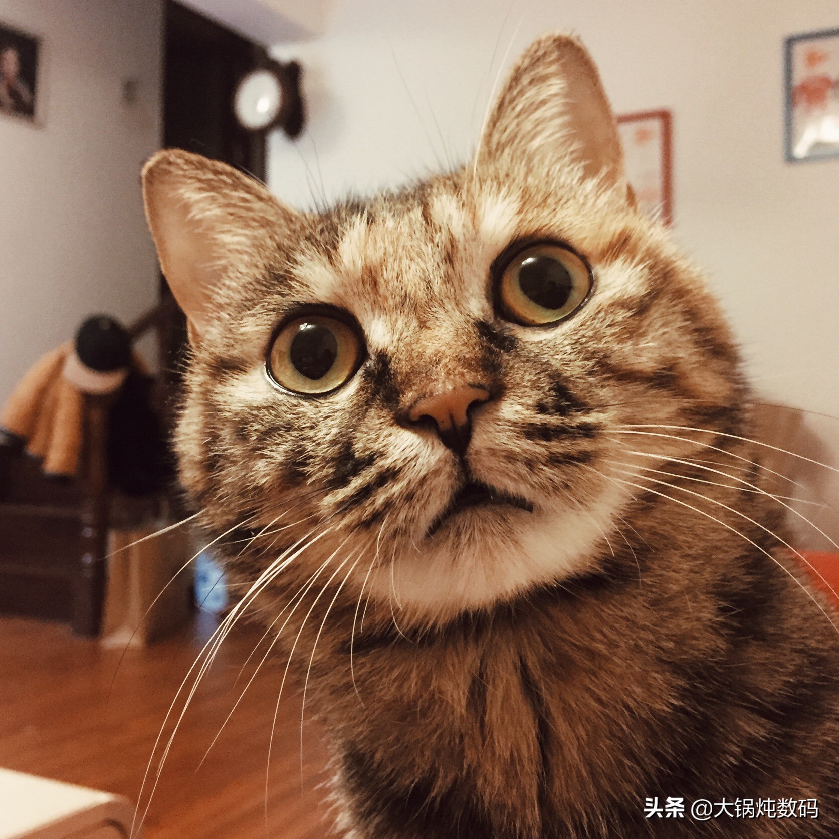 从iphone4用到iphone14,从iphone4用到现在