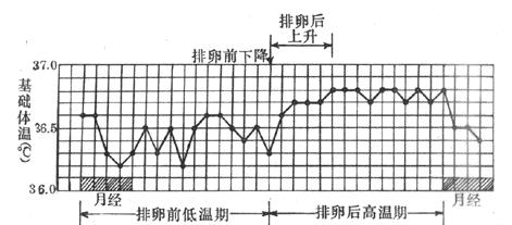 到了排卵期还是怀不上怎么办,为什么排卵期也难怀孕