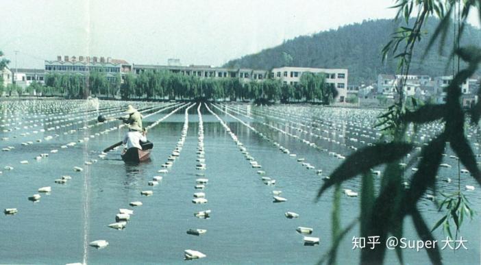 李佳琦的女生们买出了多少冠军小镇？