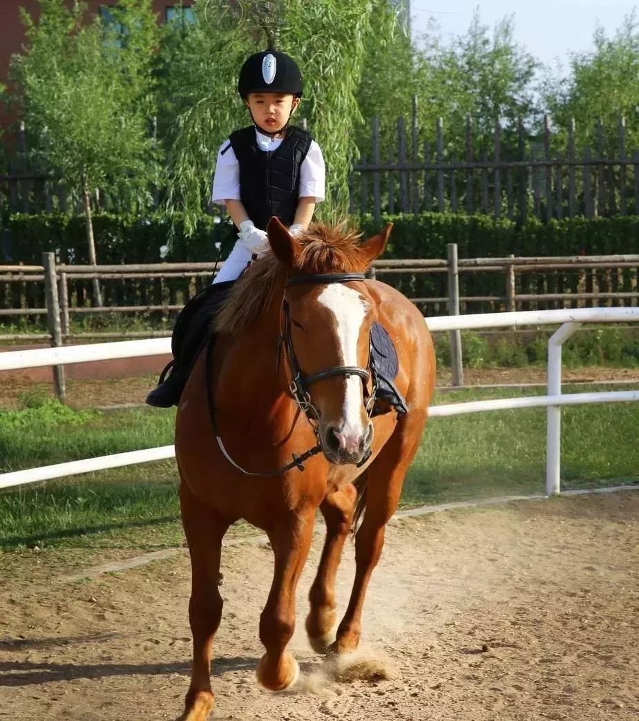 感恩等待，临朐揽翠湖温泉度假村4月4日全面复工营业！让我们共同重启美好春天！#唤醒好*光春**#