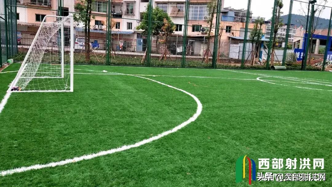 射洪免费公开足球场,射洪市金华镇足球场