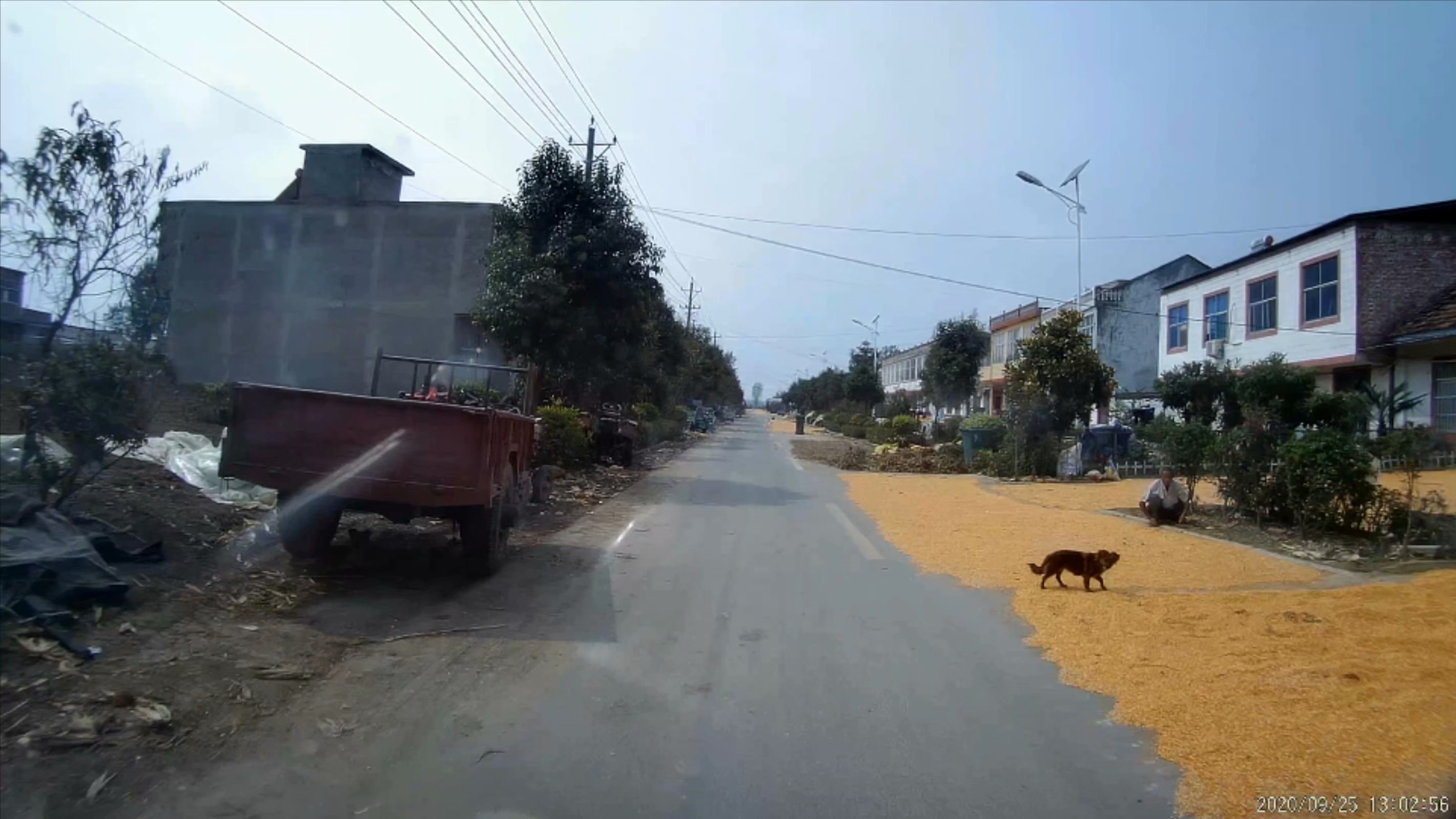 俞伯牙墓为什么在固镇,俞伯牙墓出土