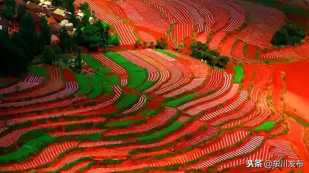 大美中国东川红土地,云南东川红土地美景赞美