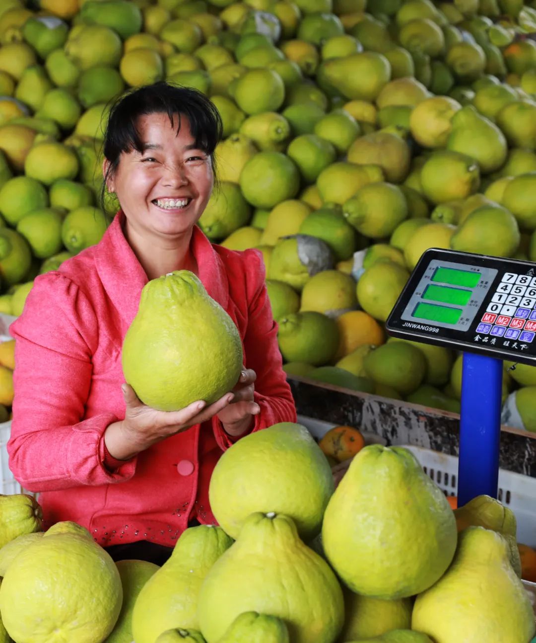 启新程丨南康区：迈向高质量跨越式发展新征程