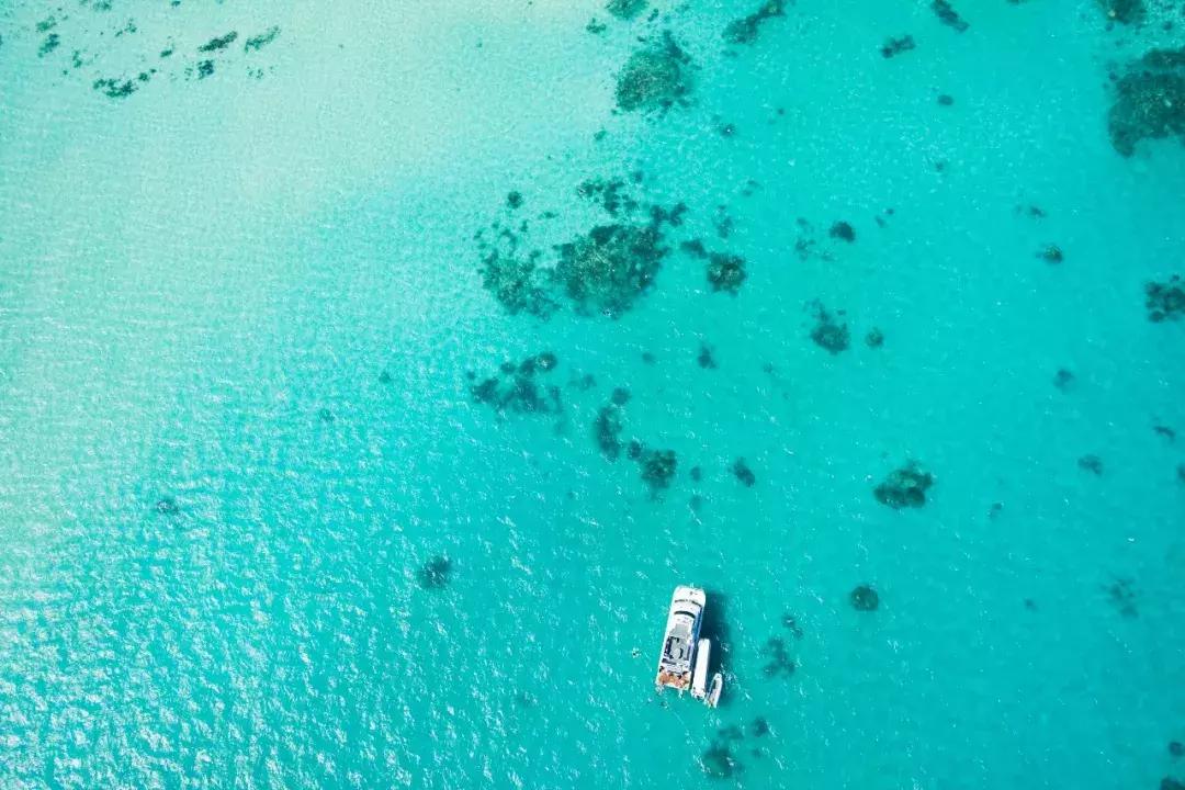 最新澳洲签证时间,2023澳洲签证申请多久出结果