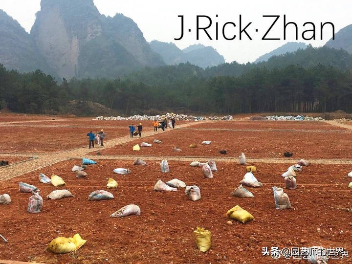 果岭草坪的种植养护方法及技巧,怎么种植一个可以躺的草坪