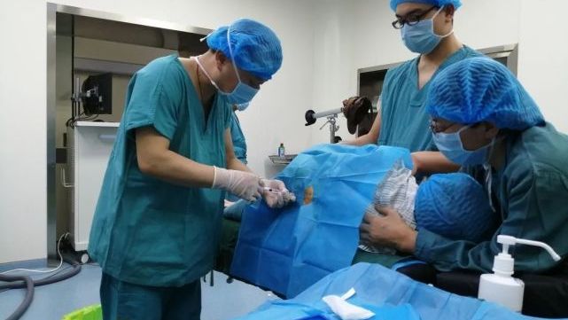 生孩子是在后背哪里打的麻药,生娃后背打麻药