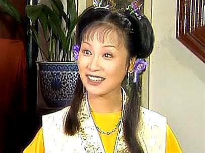 红楼梦王夫人送银子,红楼梦王夫人续写