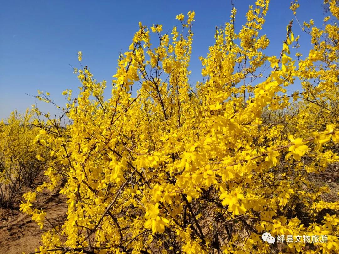 美丽乡村百花节,美丽乡村山花节