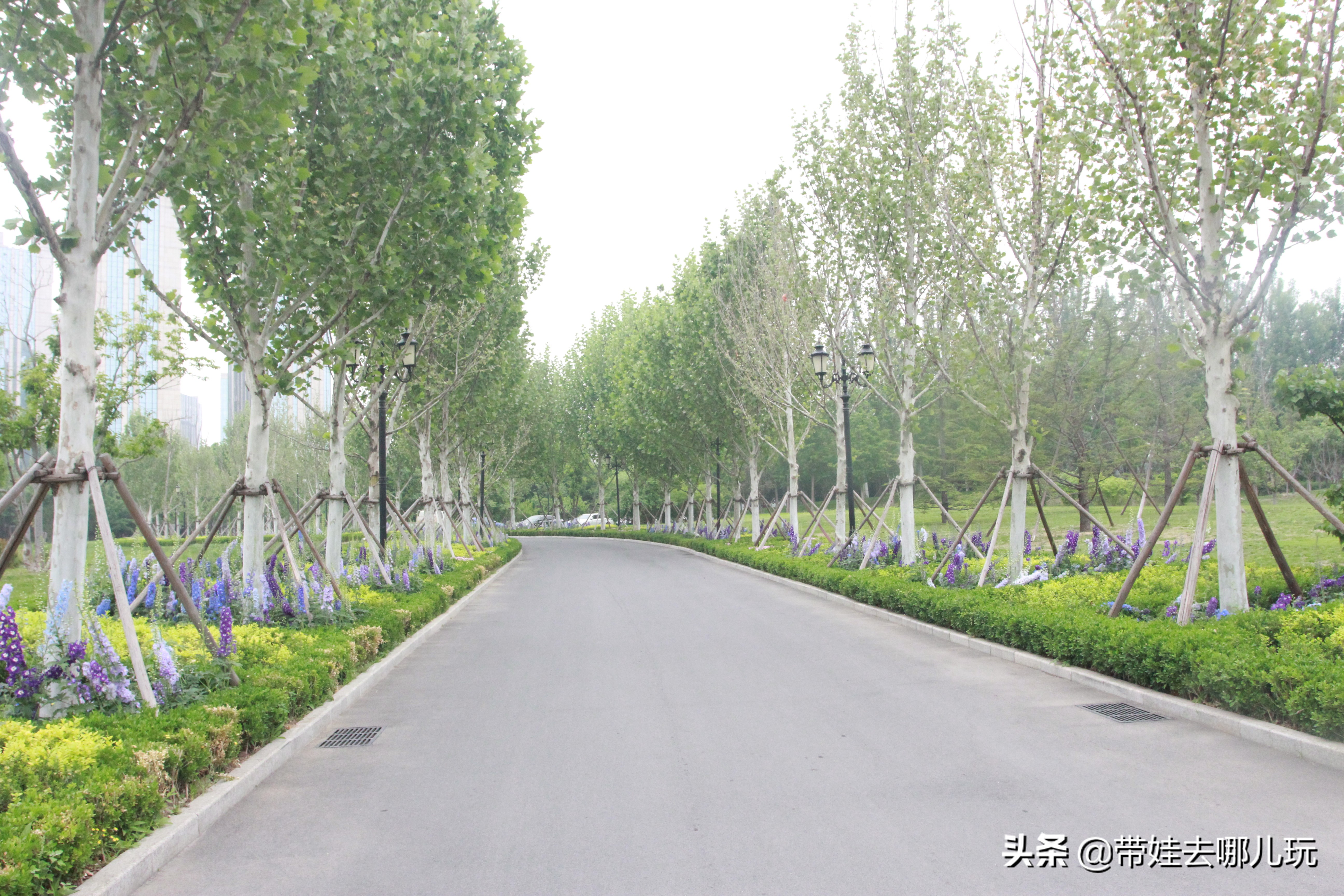 海德公园参观,北京的海德公园