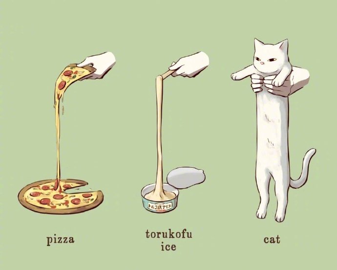 不同品种的猫咪插画,猫咪四大天王之猫插画