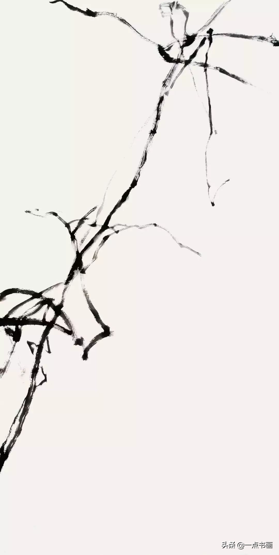 国画技法写意牡丹配山石创作示范,4尺竖幅写意葡萄国画欣赏