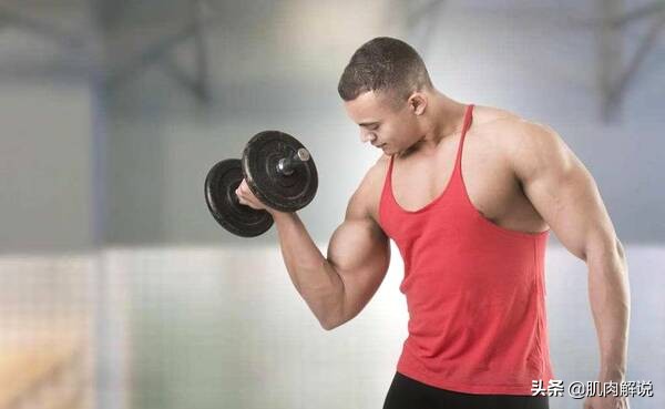 练一个手臂有什么好处,强壮的手臂肌肉