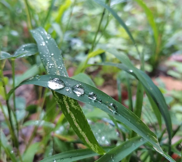 中国诗歌报第三创作室,中国诗歌报