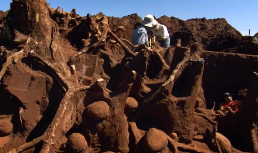 你所不了解的深海,你所不了解的地下世界