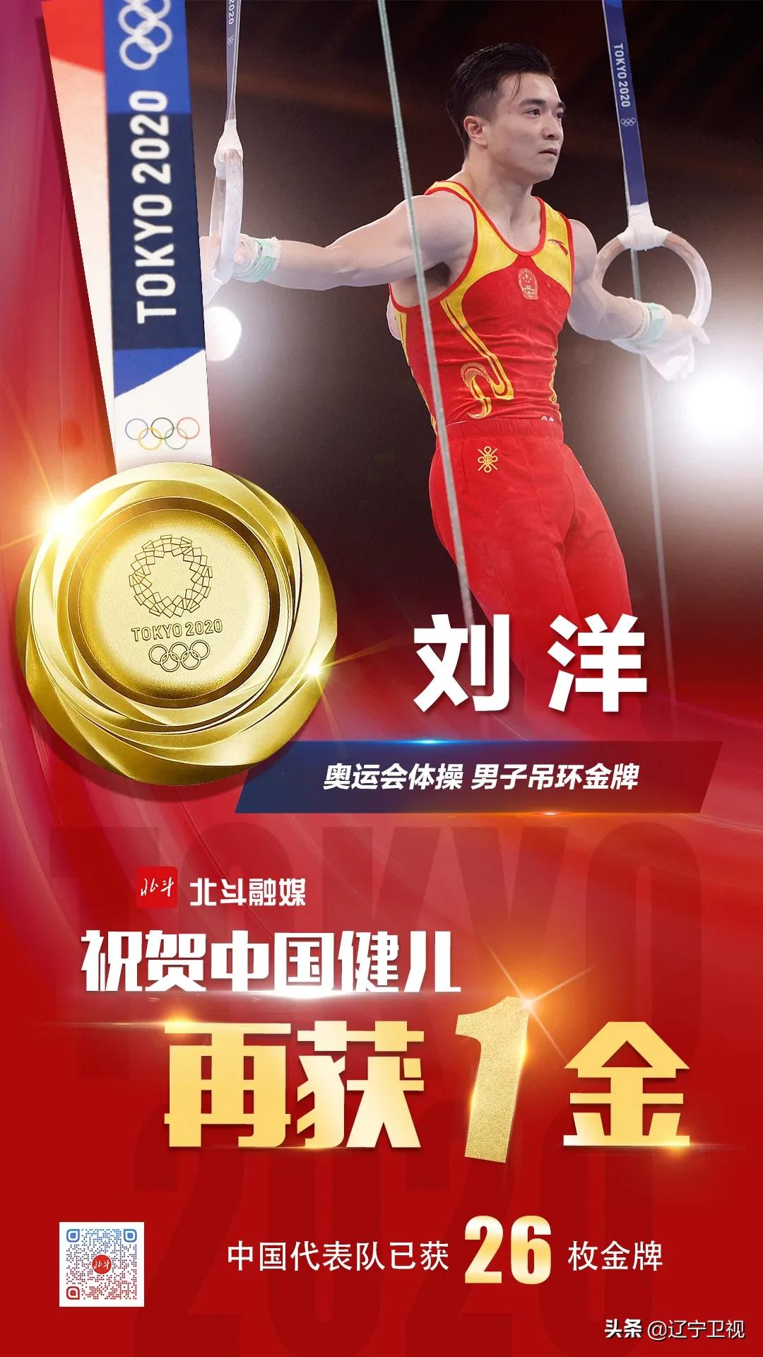 鞍山奥运会冠军刘洋,刘洋体操男子吊环夺冠