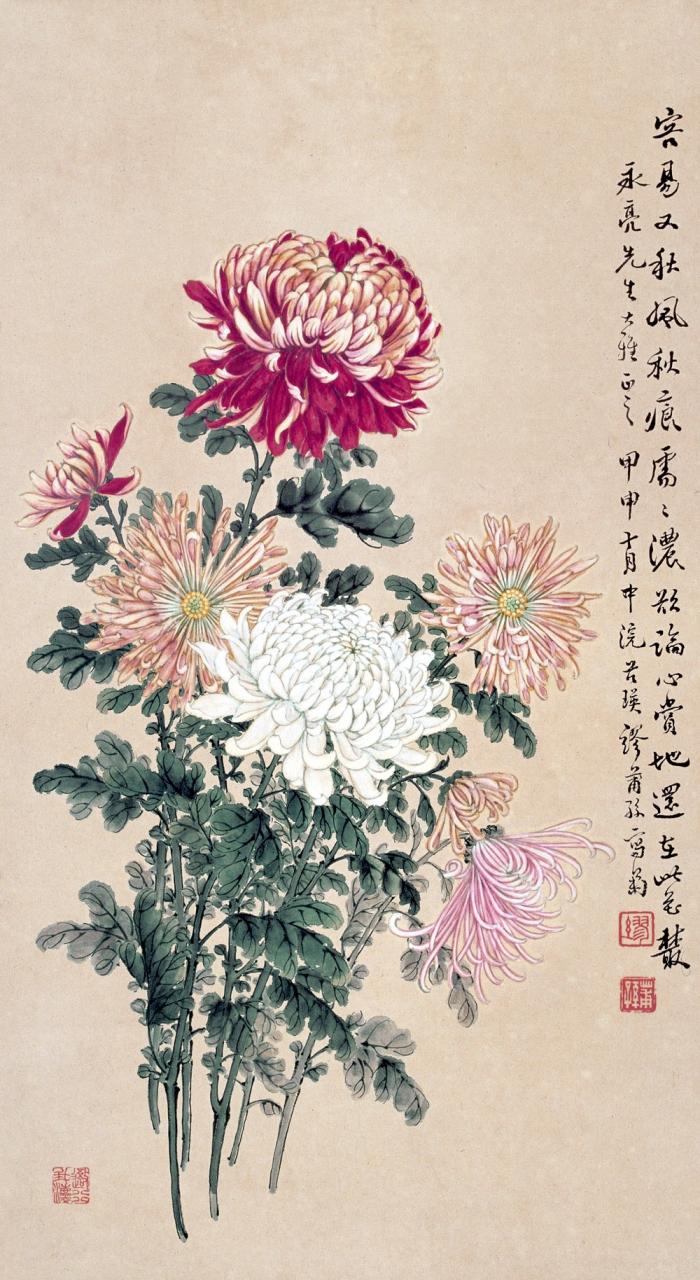 菊花的品格和精神,菊花的美丽什么意思