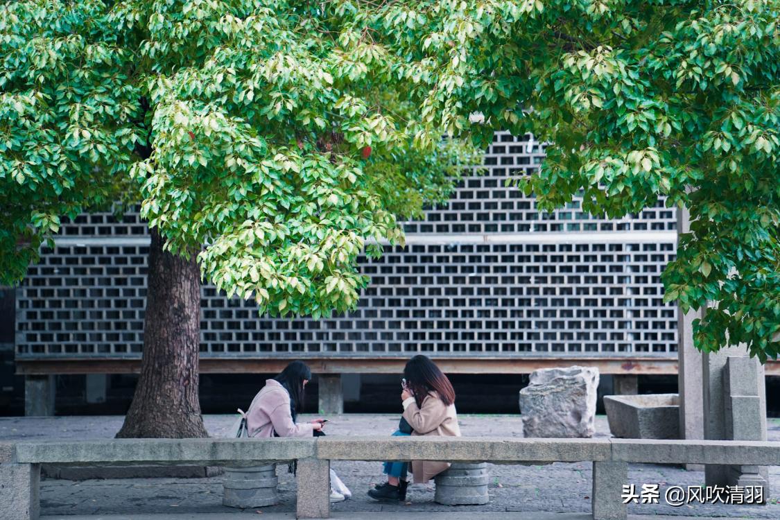苏州被遗忘的村庄,苏州被人忽视的别墅区