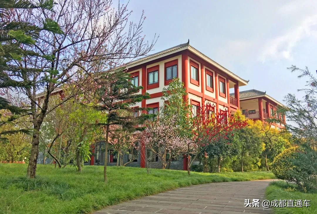 花开的季节合唱视频,花开的季节和你相遇