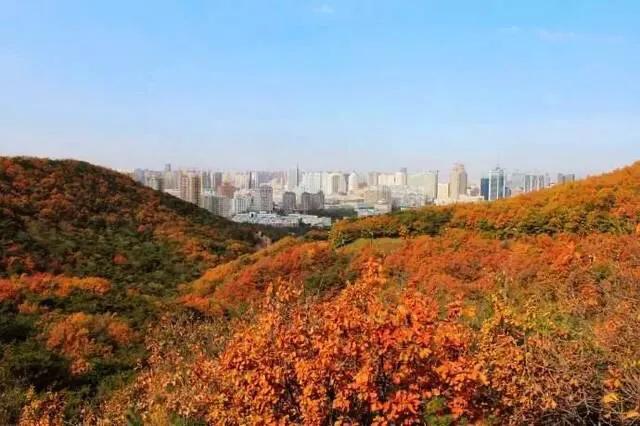 大连哪里的秋色最美呢,大连赏秋景的地方