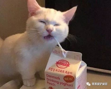 猫咪做了过敏原检测脱敏需要多久,猫咪容易过敏吃什么猫粮