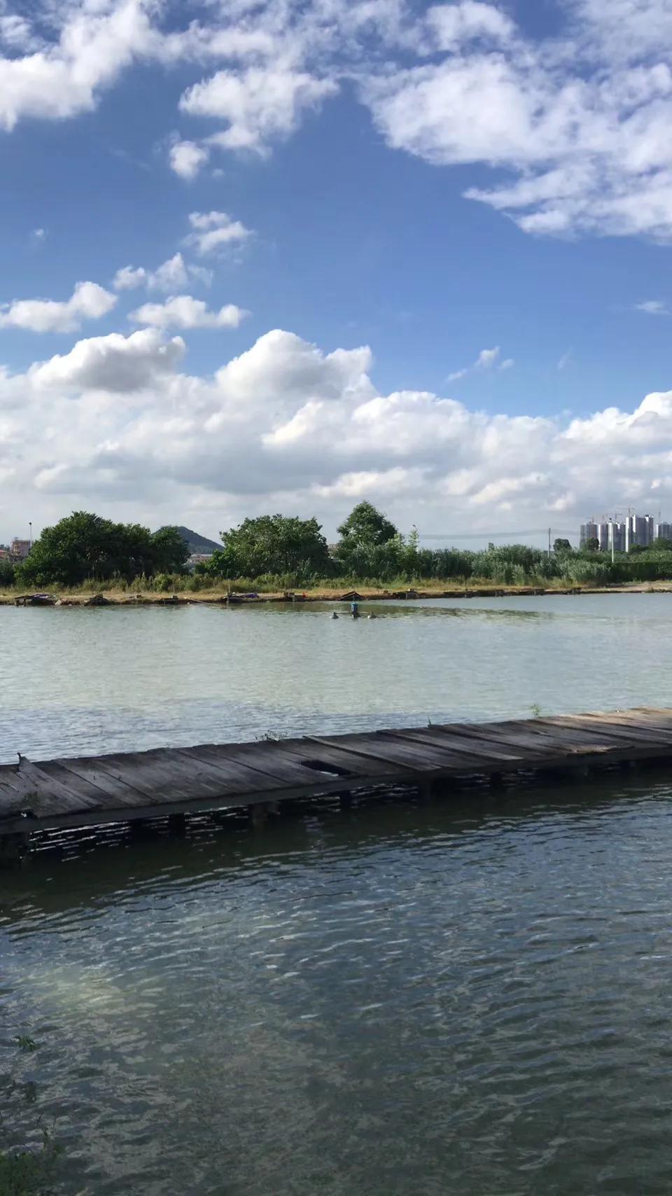 钓鱼防脱技巧 (自测钓鱼技巧和方法)