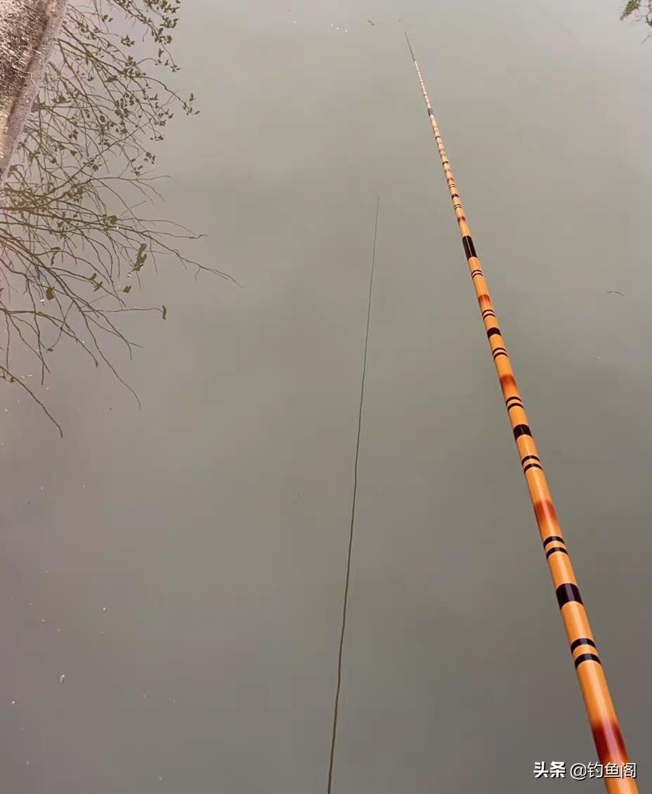 入门级野钓鱼竿推荐top10,推荐几款简单的钓鱼竿好用