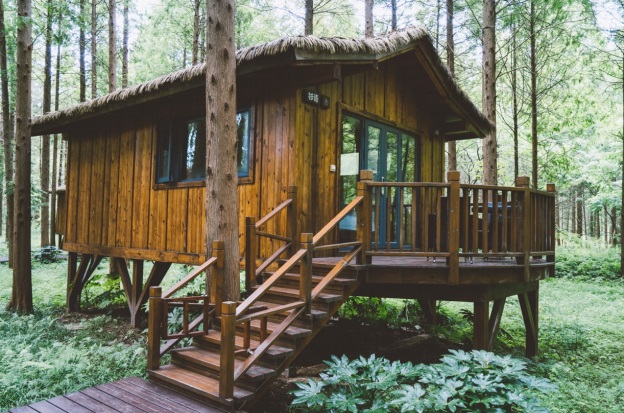 东台黄海森林公园,3000公顷森林公园畅游,绿色氧吧畅快呼吸